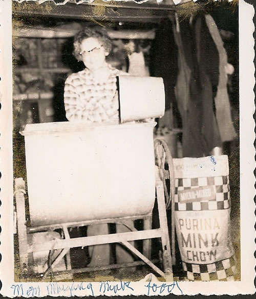 Victoria Thomas Mixing Mink Food Late 1940s